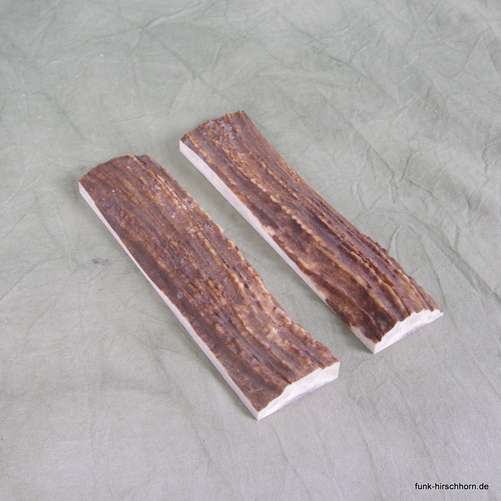 ausgesuchte Hirschhornschalen 36 x 150 mm