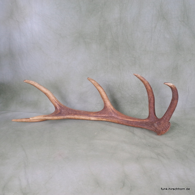 dekorative Geweihstange