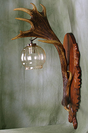 Wandleuchte, kapitale Rothirschstange Wandleuchte, kapitale Rothirschstange