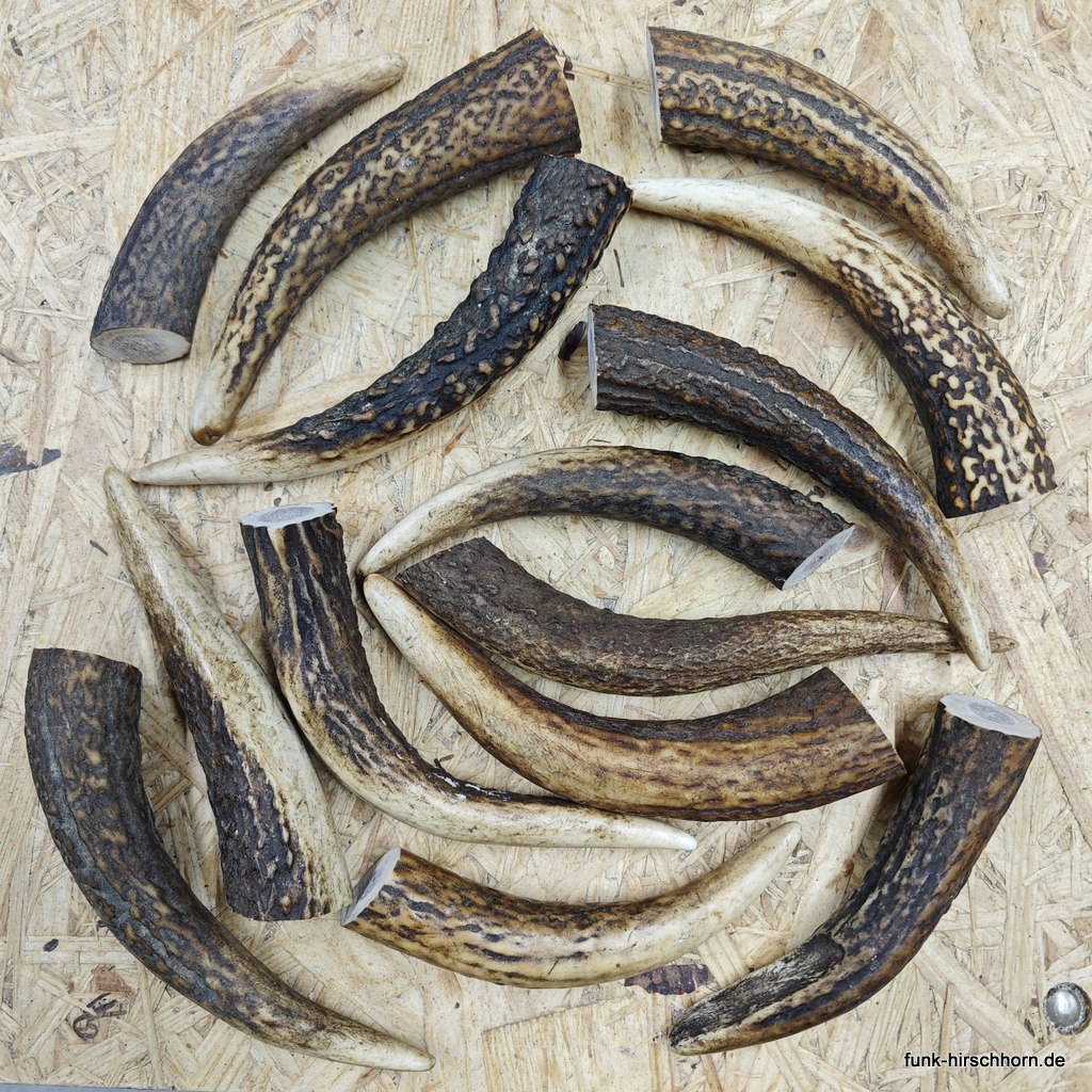 1 Kilo ausgesuchte Hirschhornspitzen