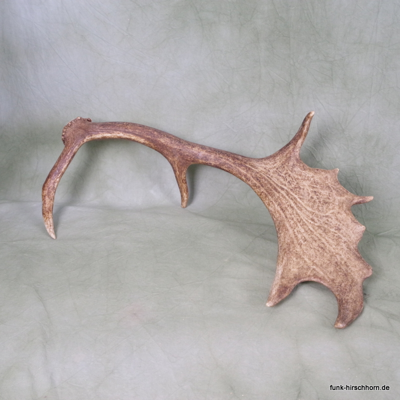 dekorative Damschaufel