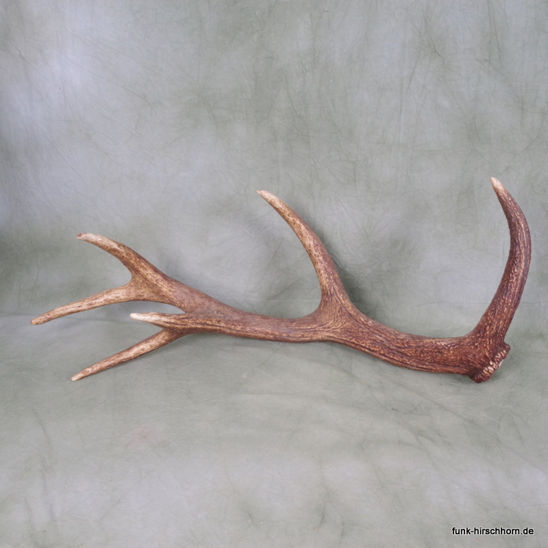 dekorative Geweihstange