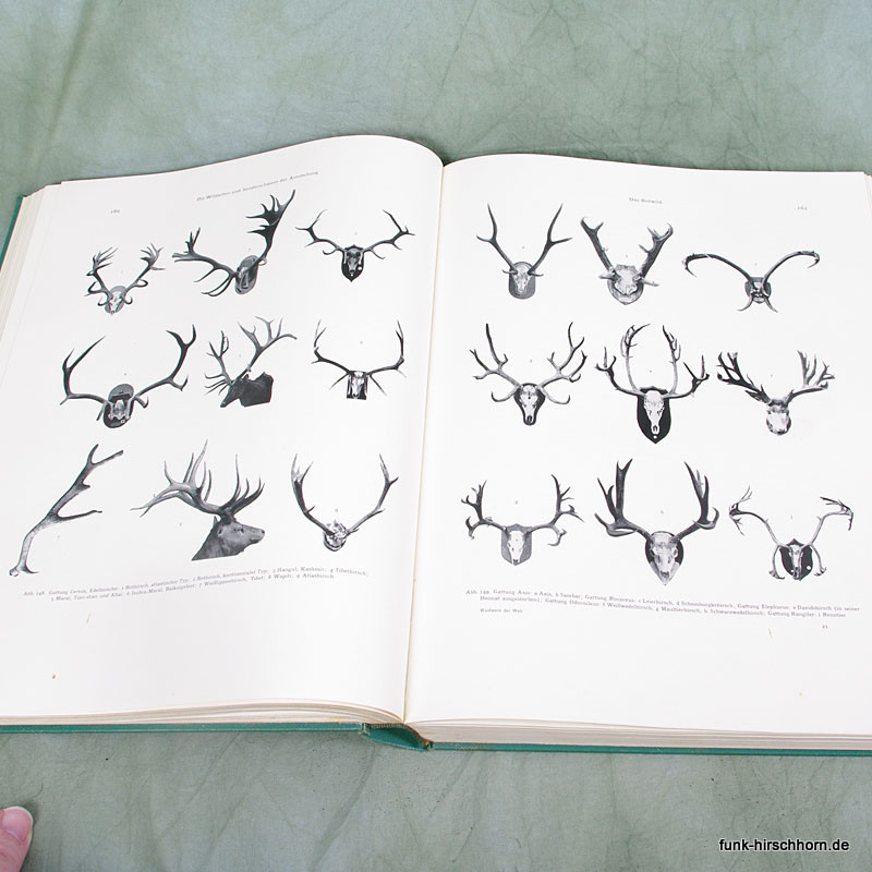 Waidwerk der Welt - Originalausgabe 1938