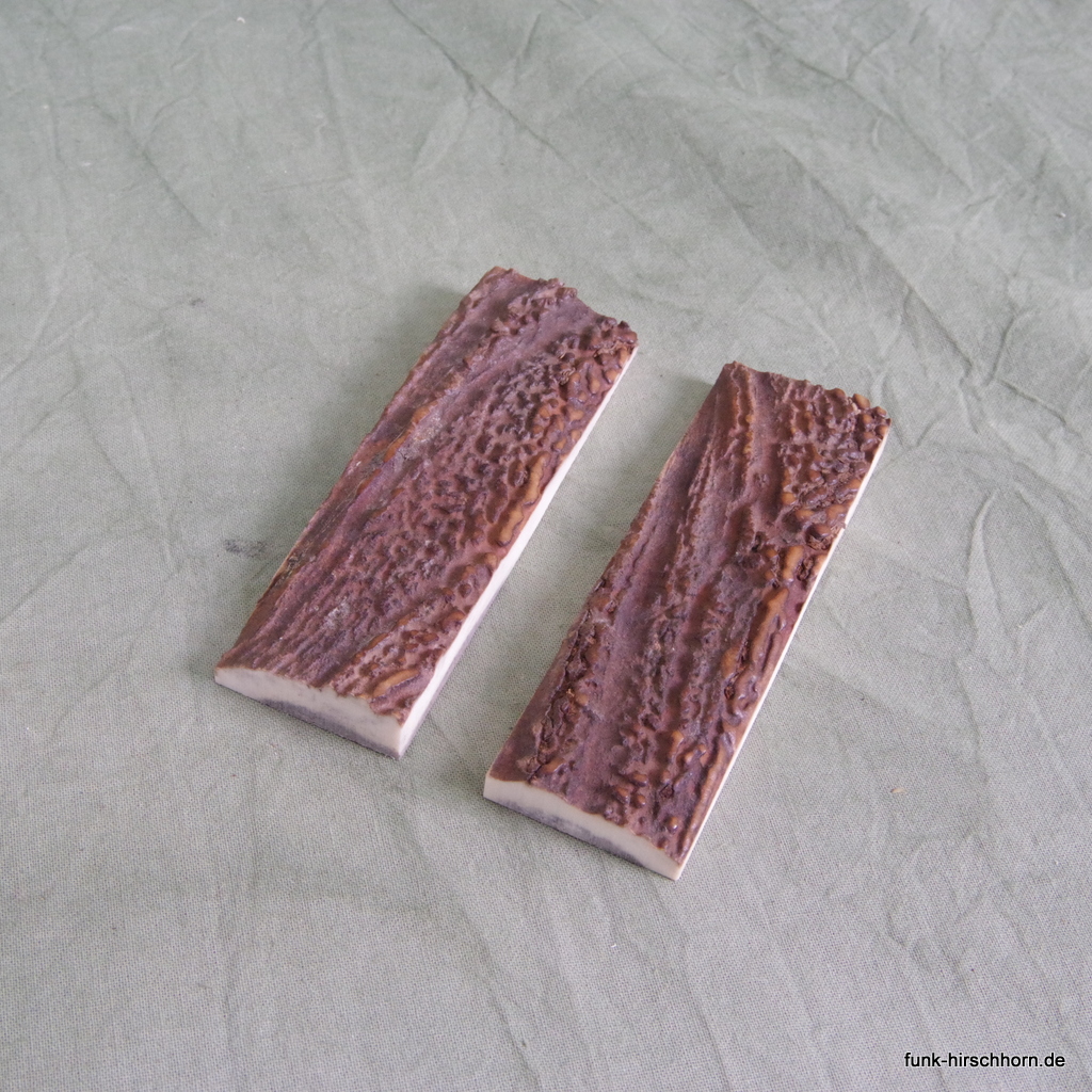ausgesuchte Hirschhornschalen 32 x 105 mm