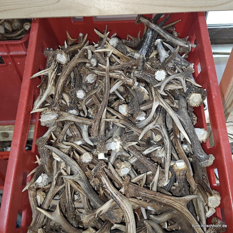 1kg Rehstangen, unsortiert