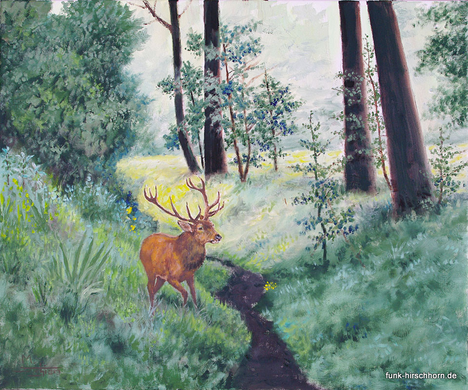 Rothirsch-am-Bachlauf-50x60LW.jpg Rothirsch-am-Bachlauf-50x60LW.jpg