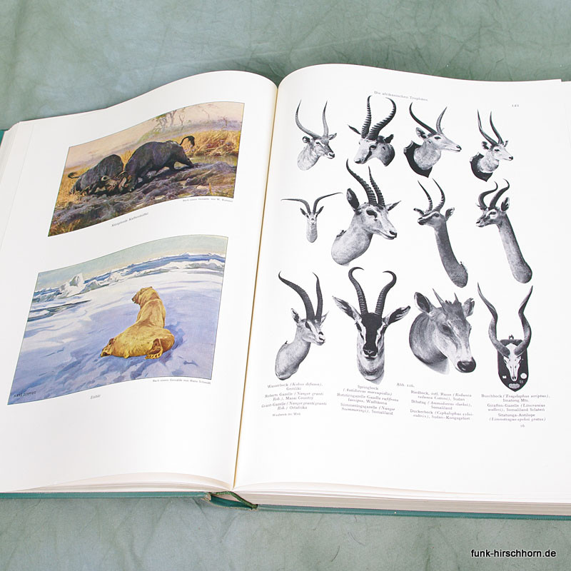 Waidwerk der Welt - Originalausgabe 1938