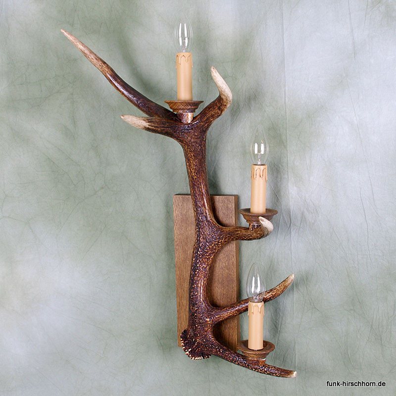 IMGP4653a.jpg IMGP4653a.jpg