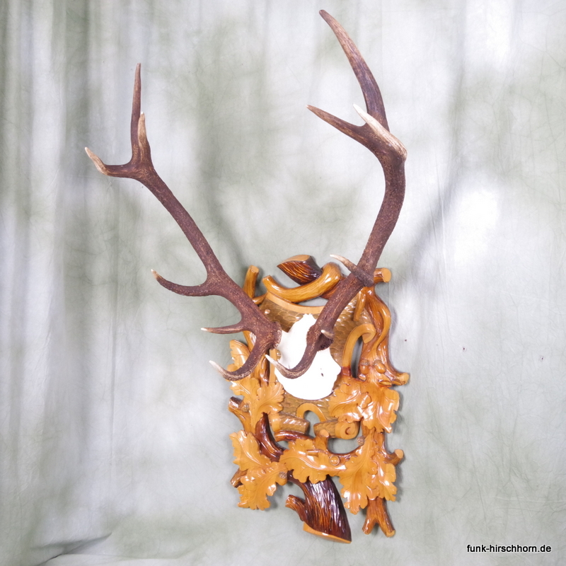 dekoratives Hirschgeweih 12-Ender auf prunkvollem Wandbrett