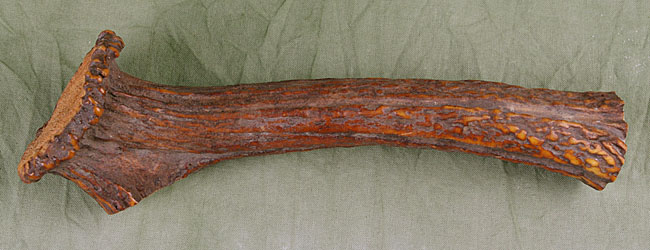 Sambar - Hirschkronengriff 220mm - Nr017