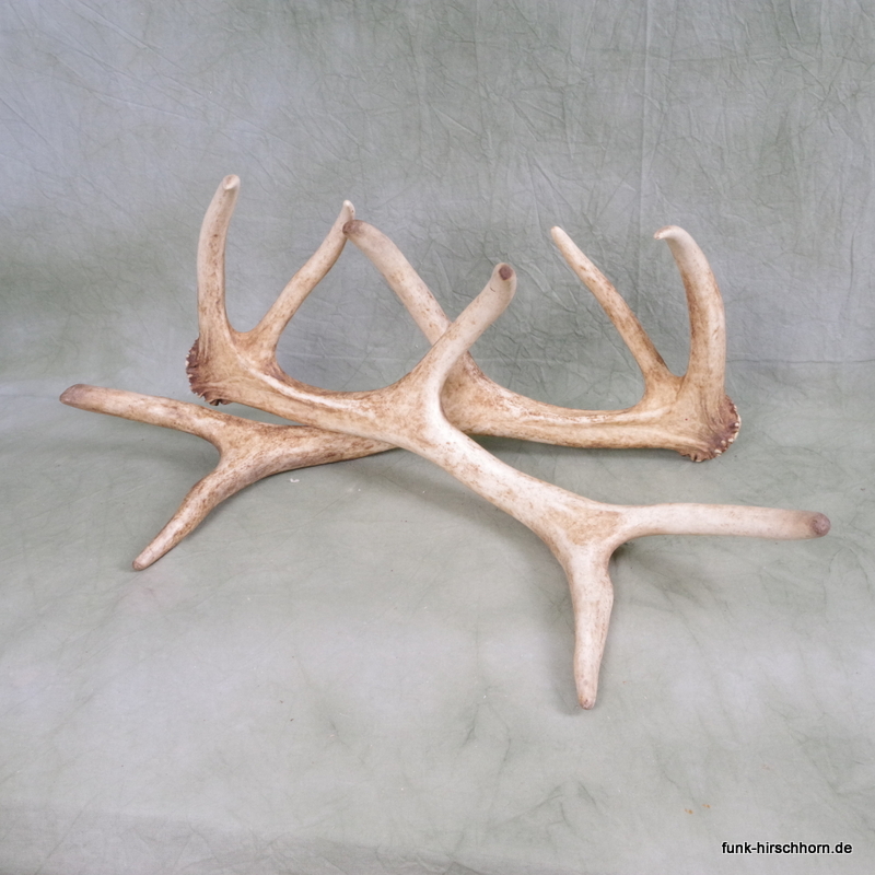 1 Paar dekorative Geweihstangen