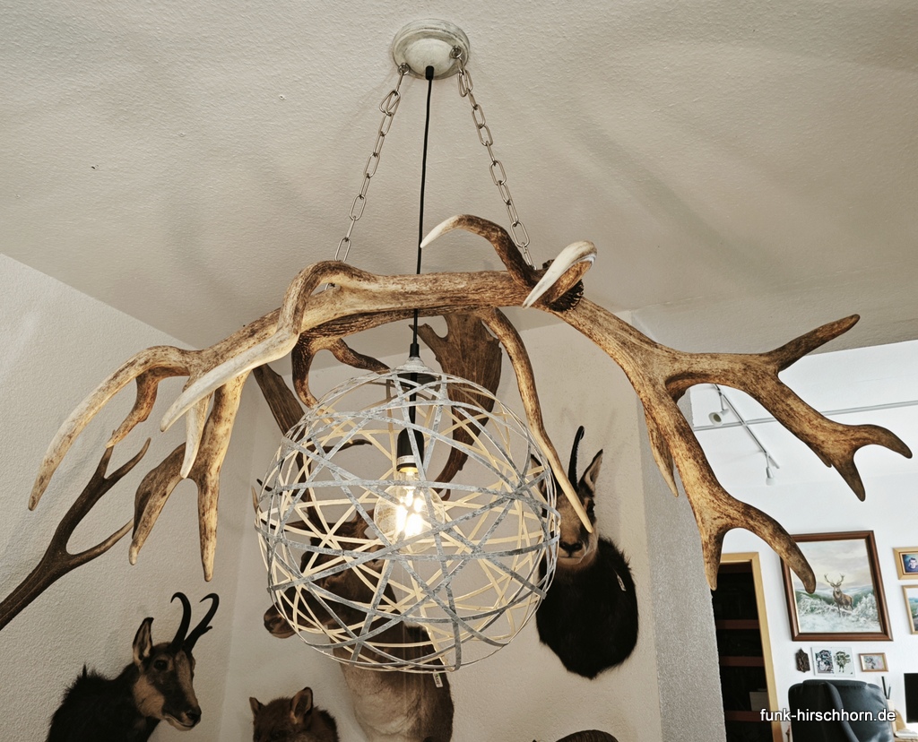 Design-Pendelleuchte