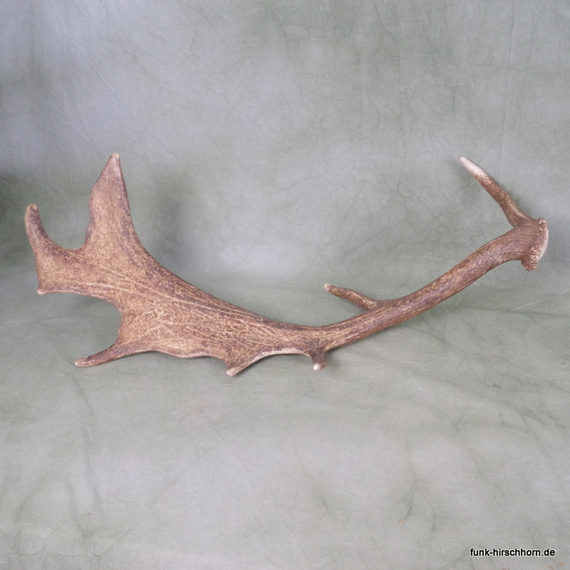 dekorative Damschaufel