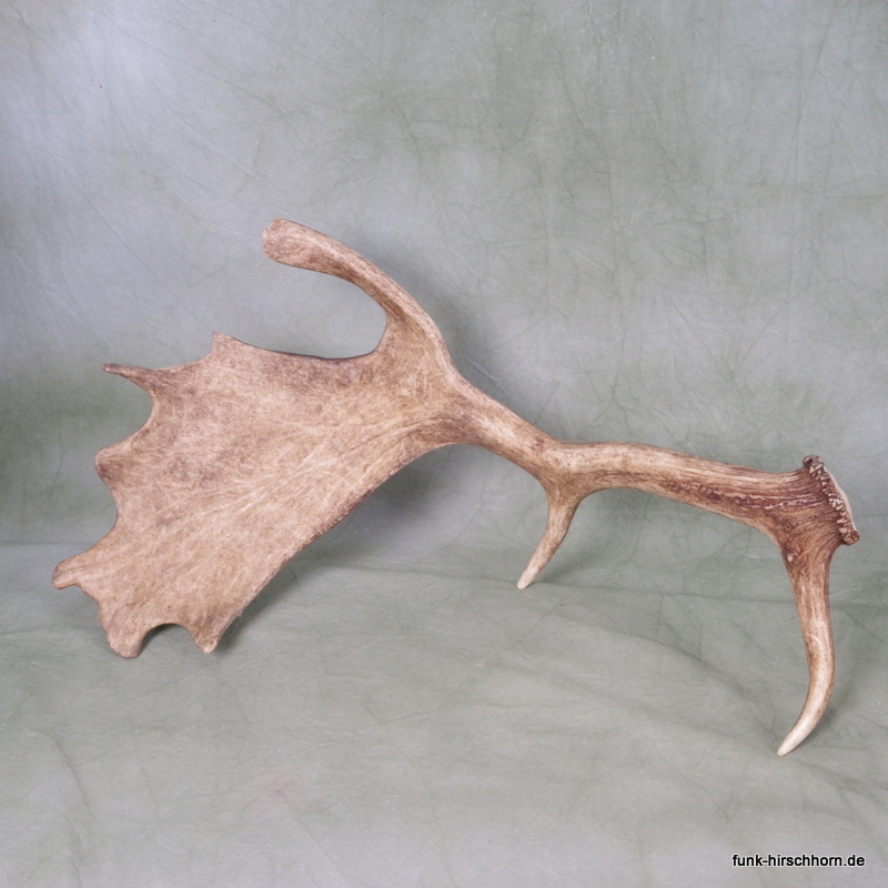 dekorative Damschaufel