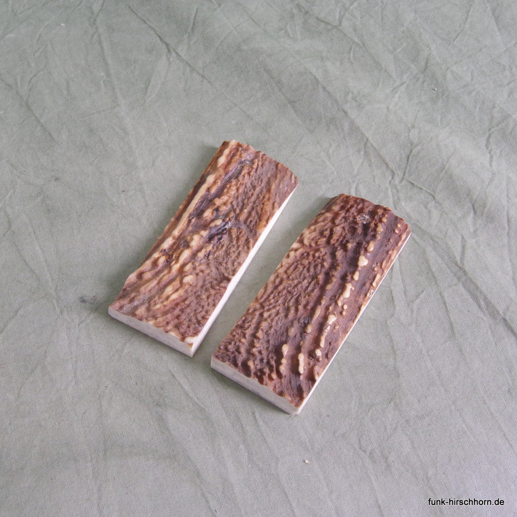 ausgesuchte Hirschhornschalen 38x98 mm