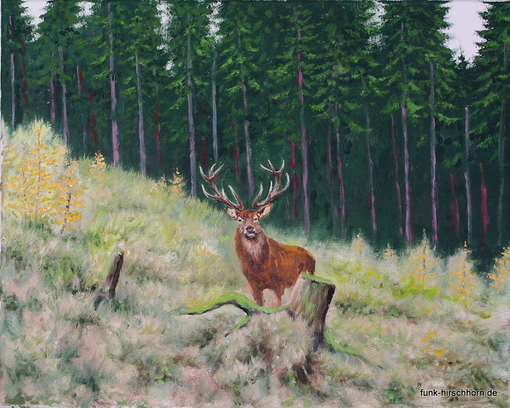 Kapitaler-Hirsch-auf-Waldlichtung-40x50LW.jpg Kapitaler-Hirsch-auf-Waldlichtung-40x50LW.jpg
