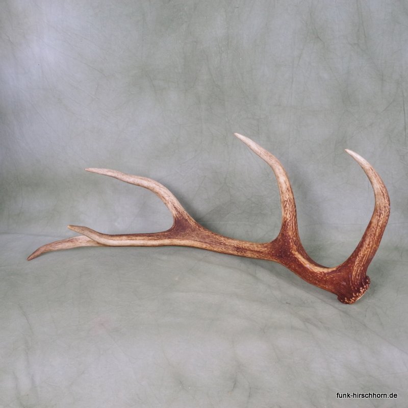 dekorative Geweihstange